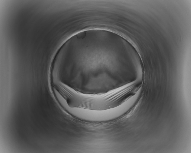 X0000088751533200706282155