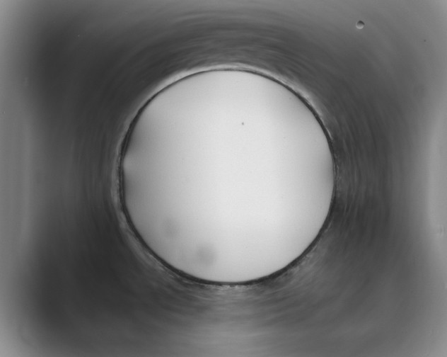 X0000088751534200706282155