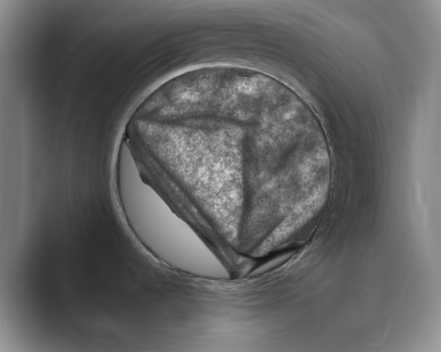 X0000088751536200706282155