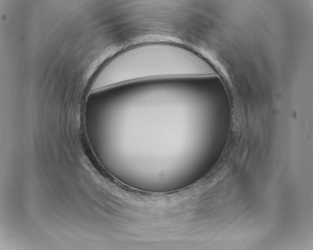 X0000088830015200706071137