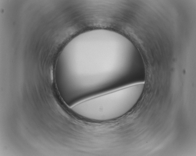 X0000088830020200706071137