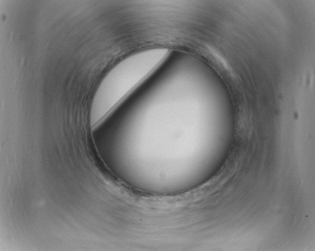 X0000088830025200706071137