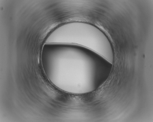 X0000088830062200706071136