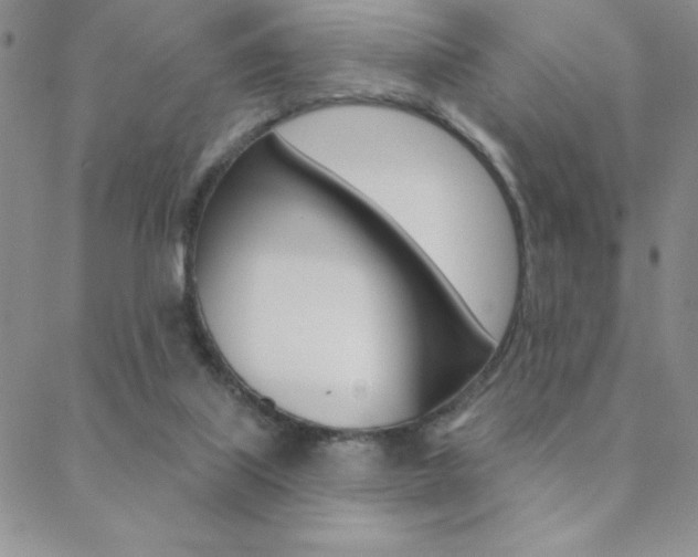 X0000088830067200706071136