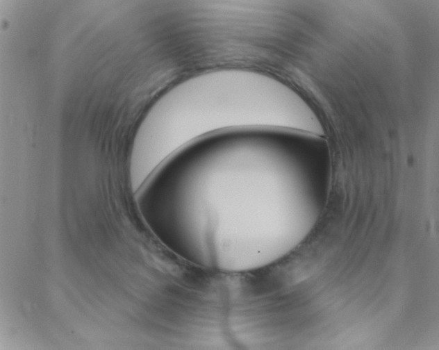 X0000088830076200706071136