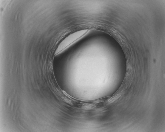 X0000088830096200706071136