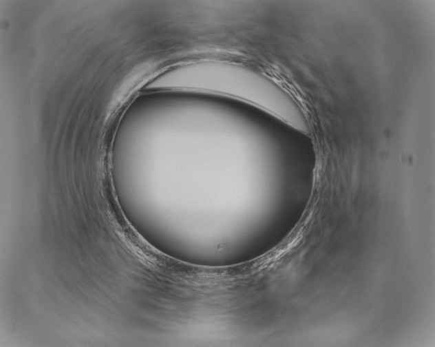 X0000088830101200706071135
