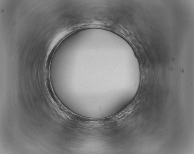 X0000088830102200706071135