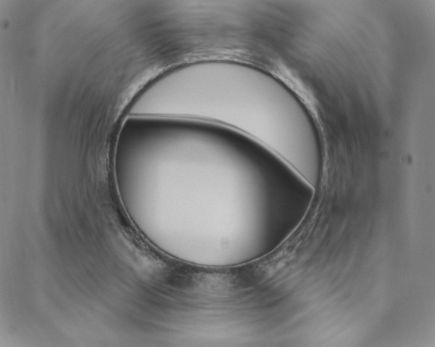 X0000088830107200706071135