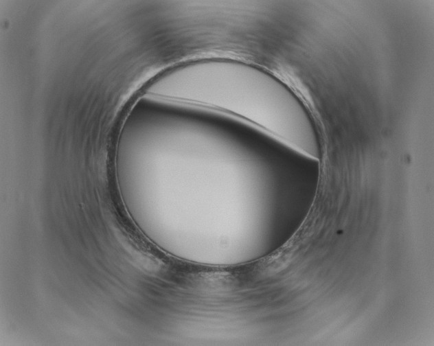 X0000088830108200706071135
