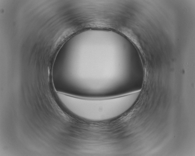 X0000088830109200706071135