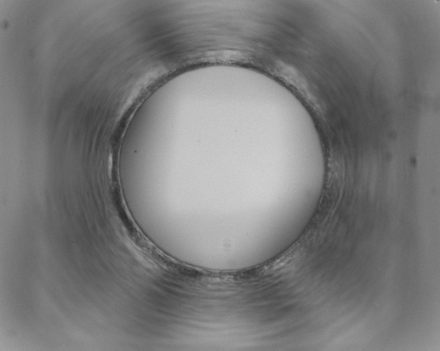 X0000088830110200706071135