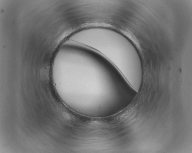 X0000088830111200706071135