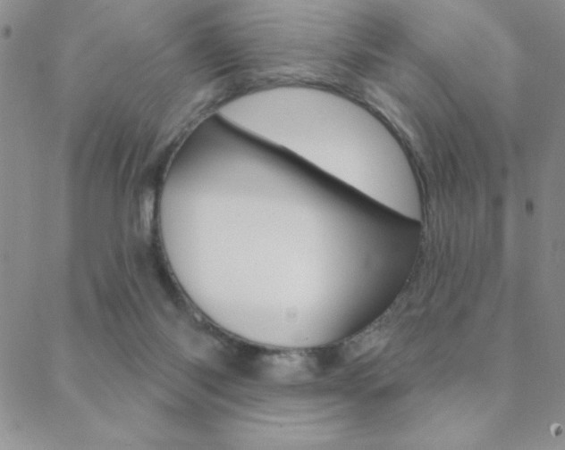 X0000088830118200706071135