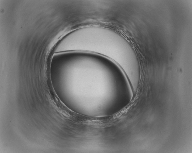 X0000088830150200706071134