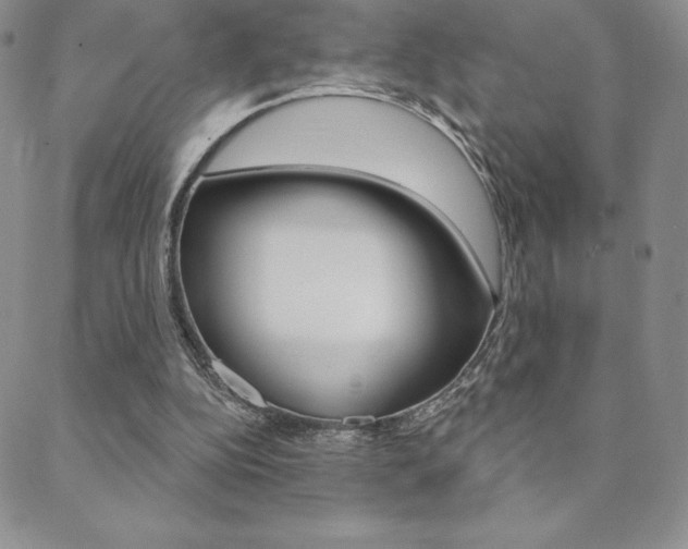 X0000088830152200706071134