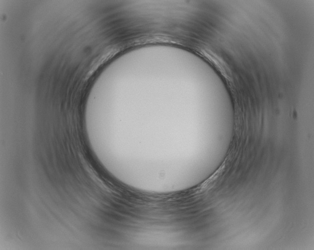 X0000088830158200706071134