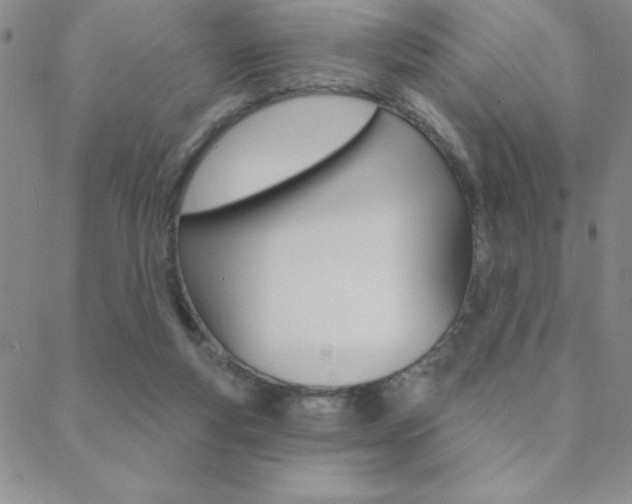 X0000088830163200706071134