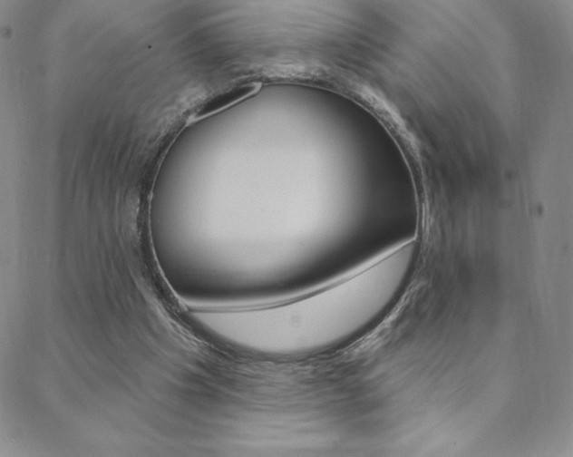 X0000088830201200706071134