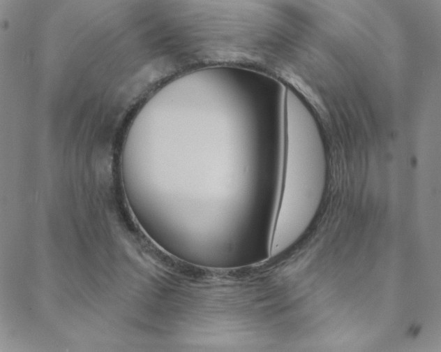 X0000088830207200706071134