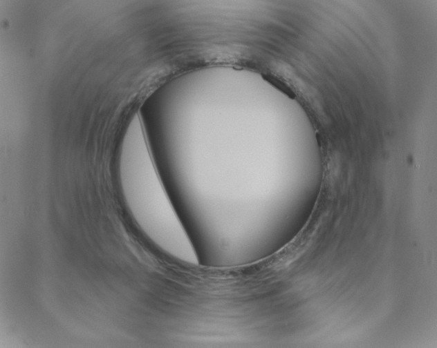 X0000088830209200706071134