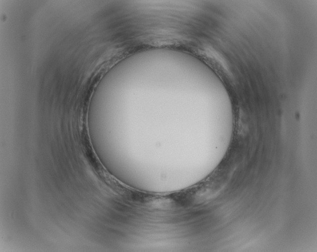 X0000088830210200706071134