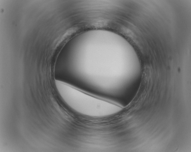 X0000088830212200706071134