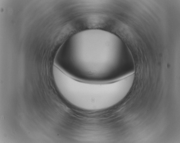 X0000088830219200706071134