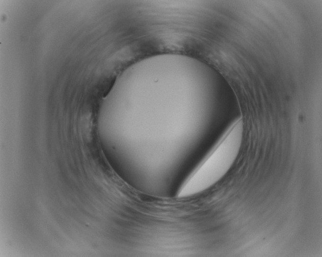 X0000088830223200706071133