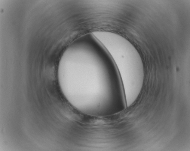 X0000088830224200706071133