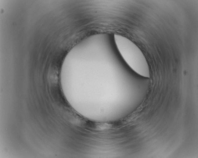 X0000088830226200706071133