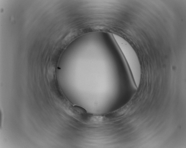 X0000088830227200706071133