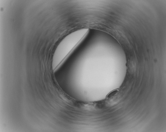 X0000088830232200706071133