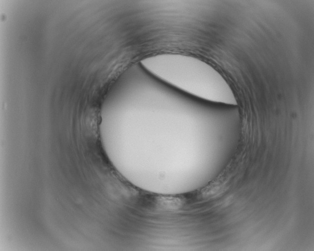 X0000088830234200706071133