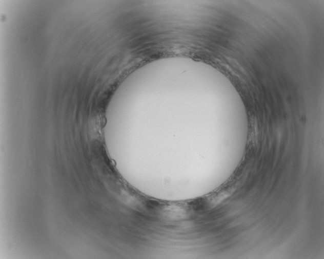 X0000088830236200706071133