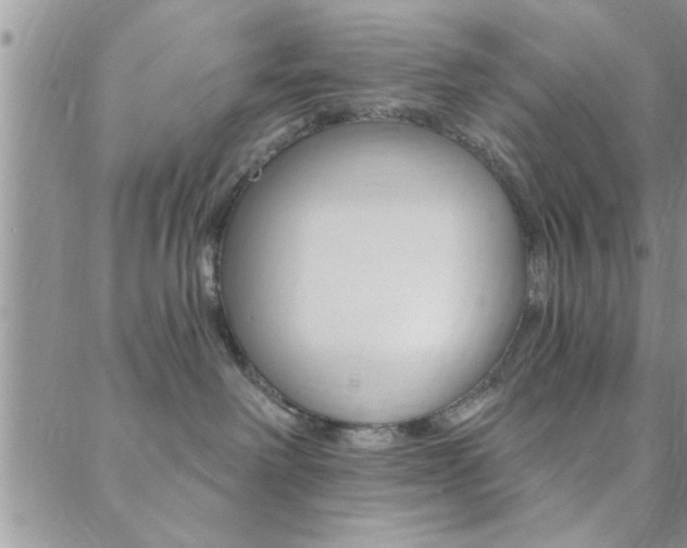 X0000088830238200706071133