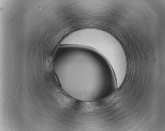 X0000088830239200706071133