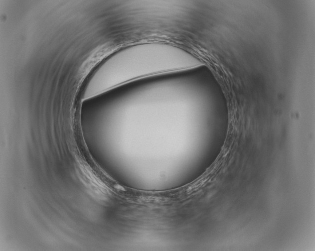 X0000088830242200706071132