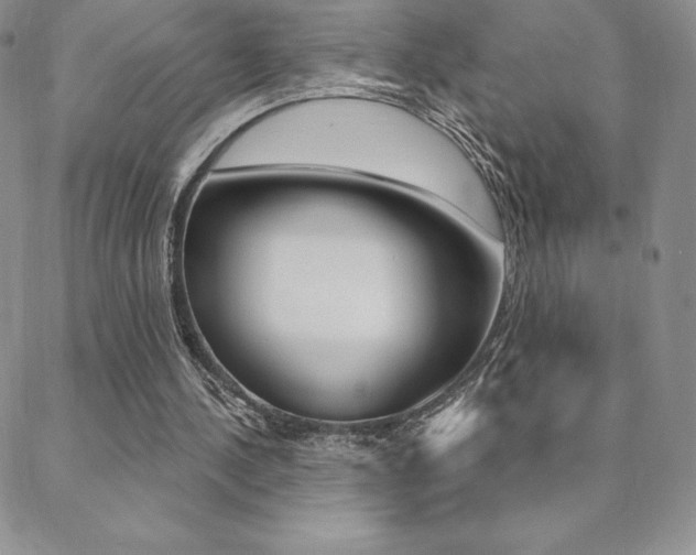 X0000088830244200706071132