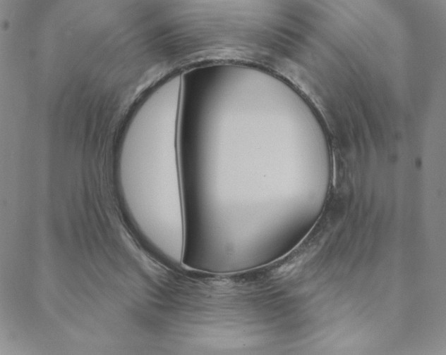 X0000088830253200706071133