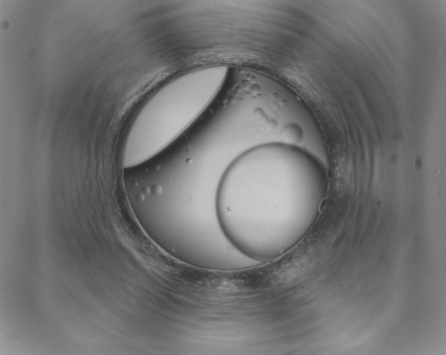 X0000088830254200706071133