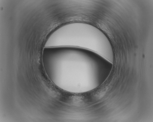 X0000088830255200706071133