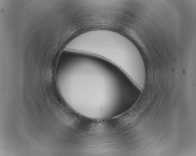 X0000088830259200706071133