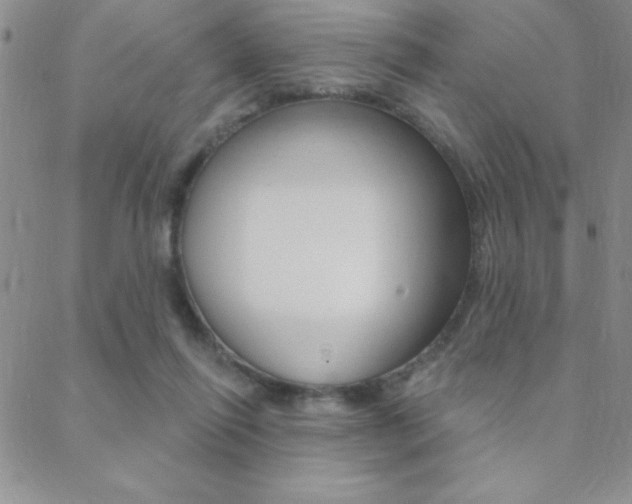 X0000088830262200706071133