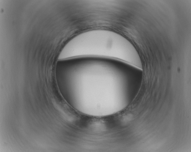 X0000088830263200706071133