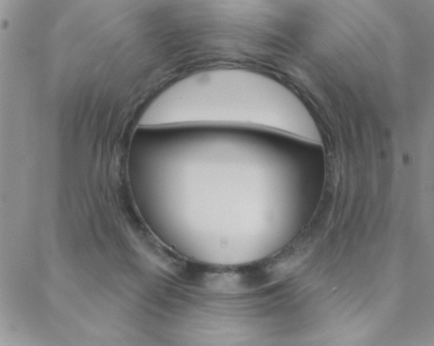 X0000088830266200706071133