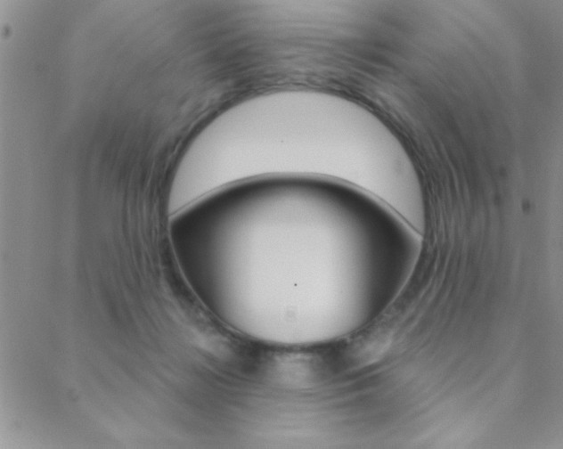 X0000088830268200706071133