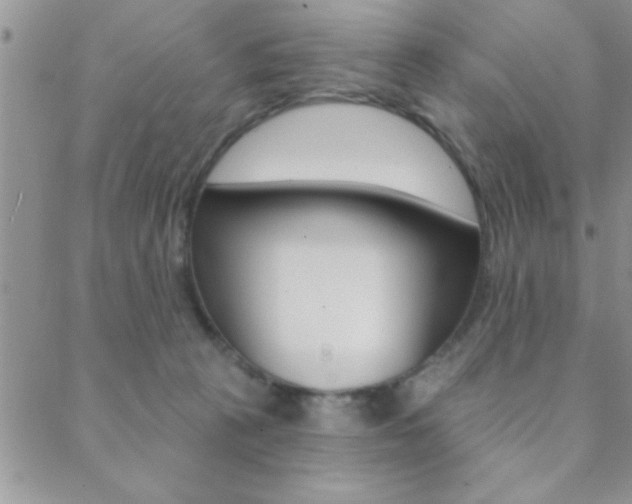 X0000088830273200706071133