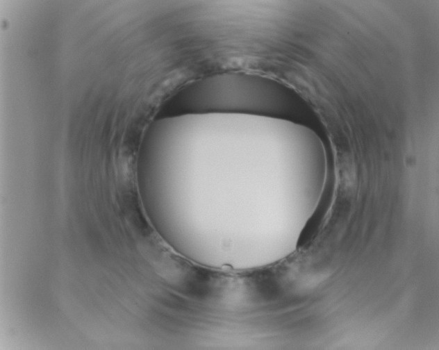 X0000088830276200706071133