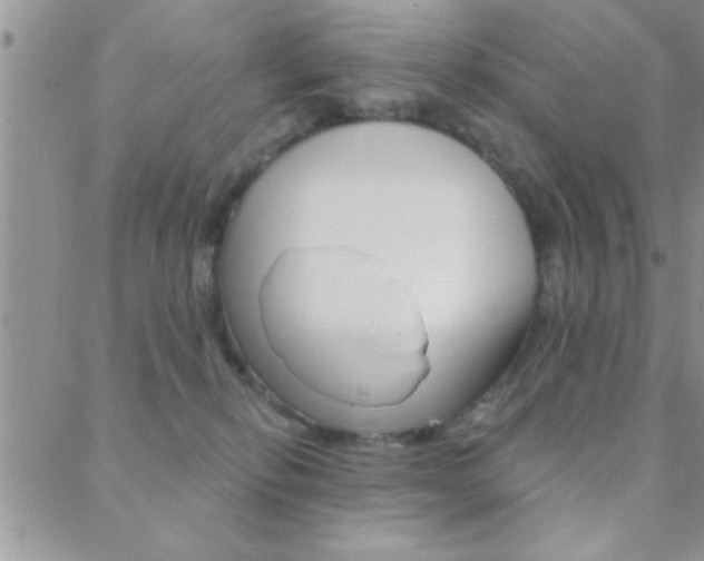 X0000088830278200706071133